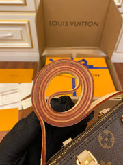 Bauletto Lv 25